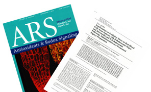 Numerous Research Reports and Papers