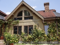 Rose Festival held at O.R.I. garden