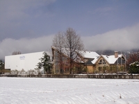 Beautiful Winter Landscape