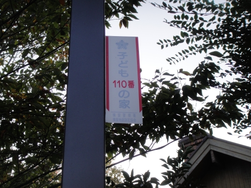 DSC01853 (500x375).jpg