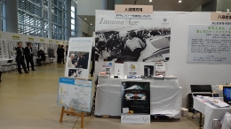 DSC01913 (260x146).jpg