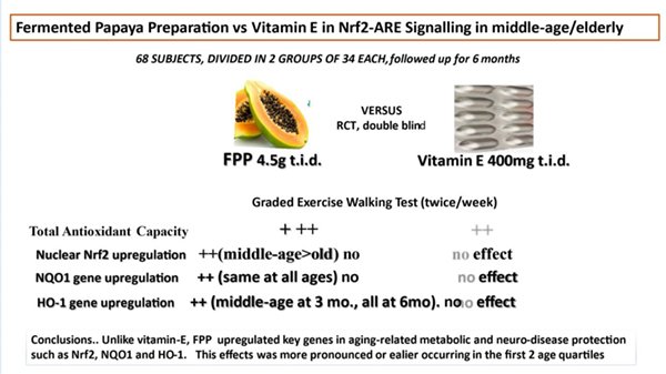 2025.05.01_Nrf2.jpg