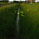 Flashing Fireflies again this year